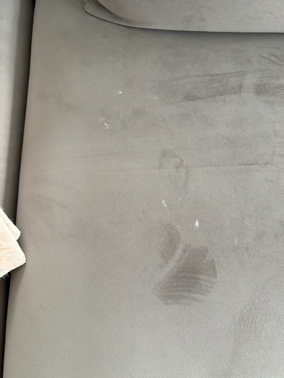 Stain lifted from carpet