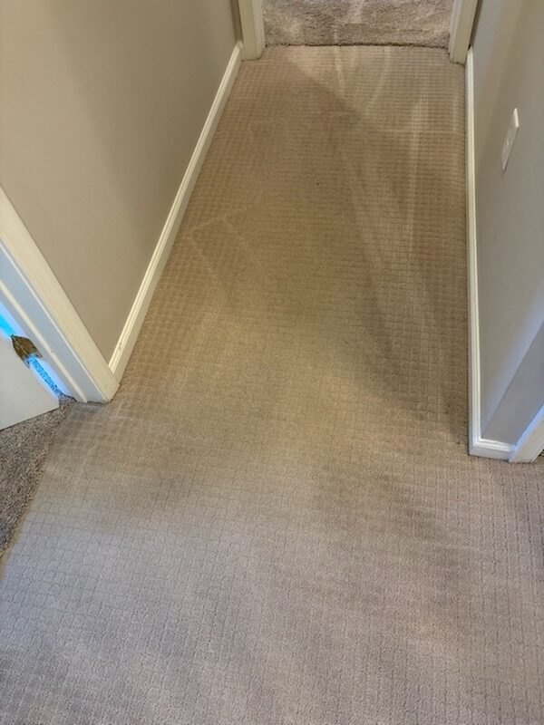 Fresh, deep-cleaned carpet