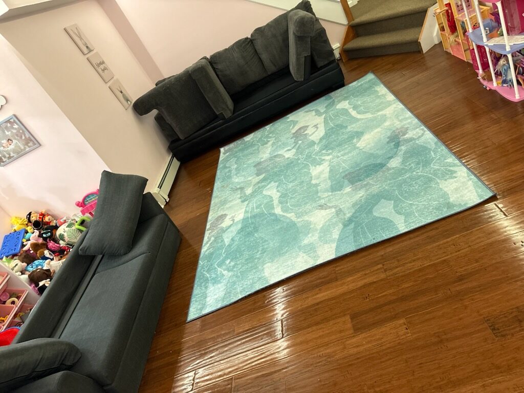 Family room rug & sectional